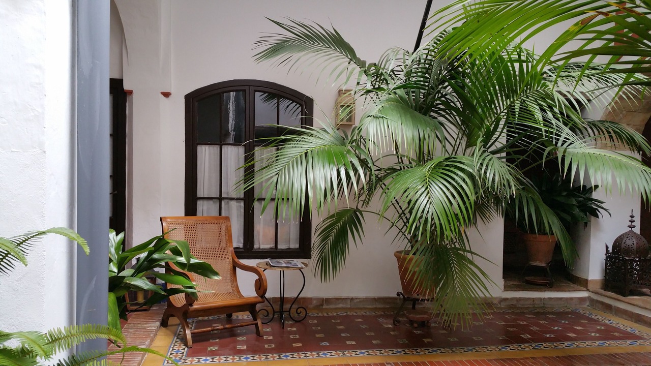 Photo of Outdoor in Sanlucar de Barrameda