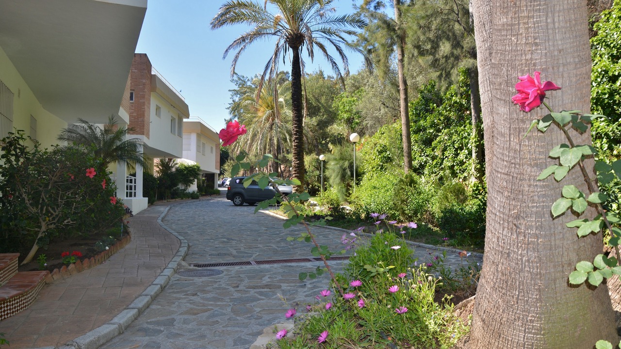 Photo of Others in Benalmadena Costa