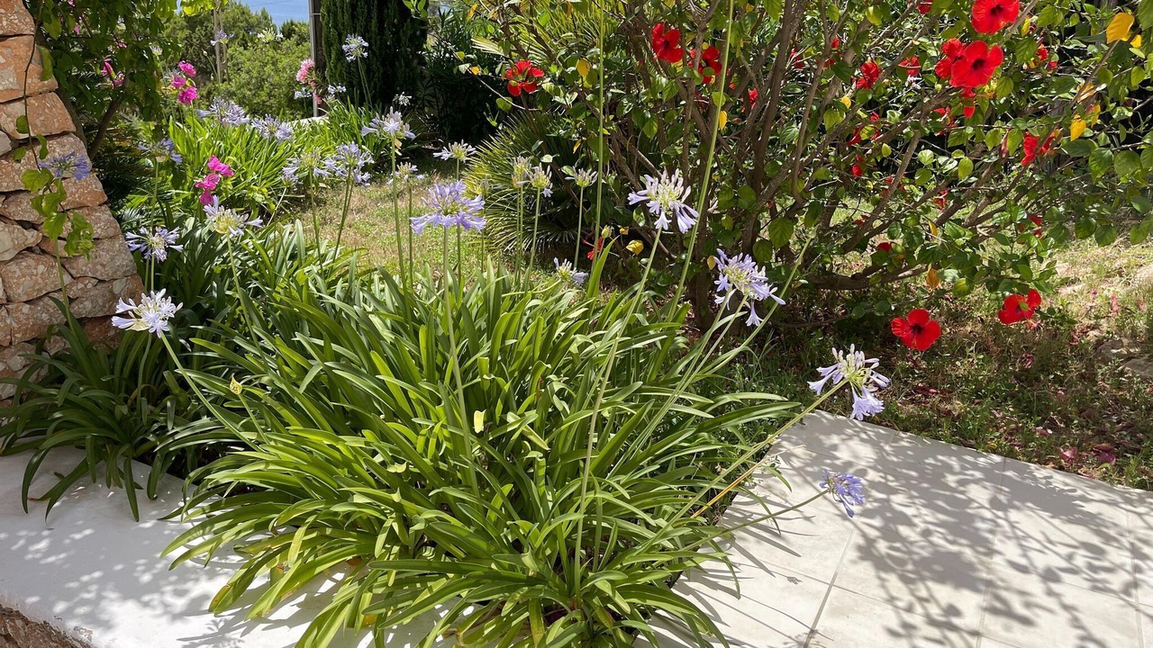 Photo of Outdoor in Cala Vadella