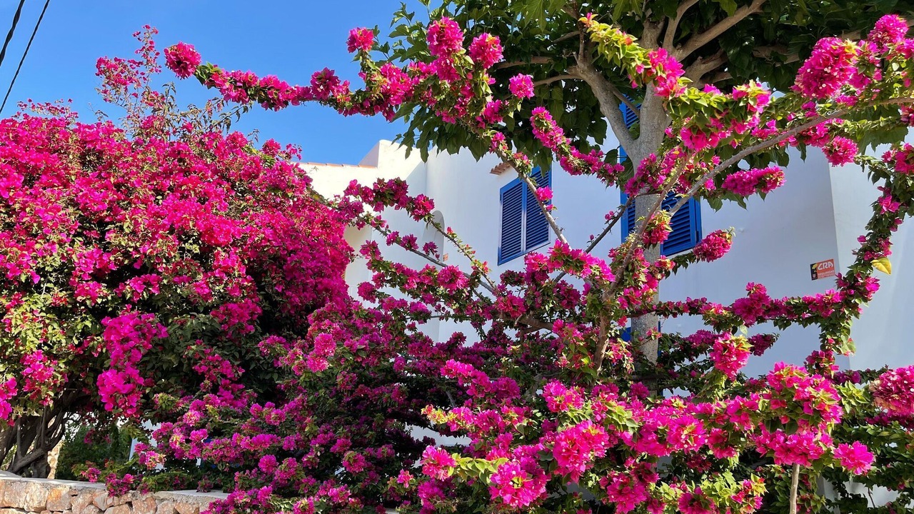 Photo of Outdoor in Cala Vadella