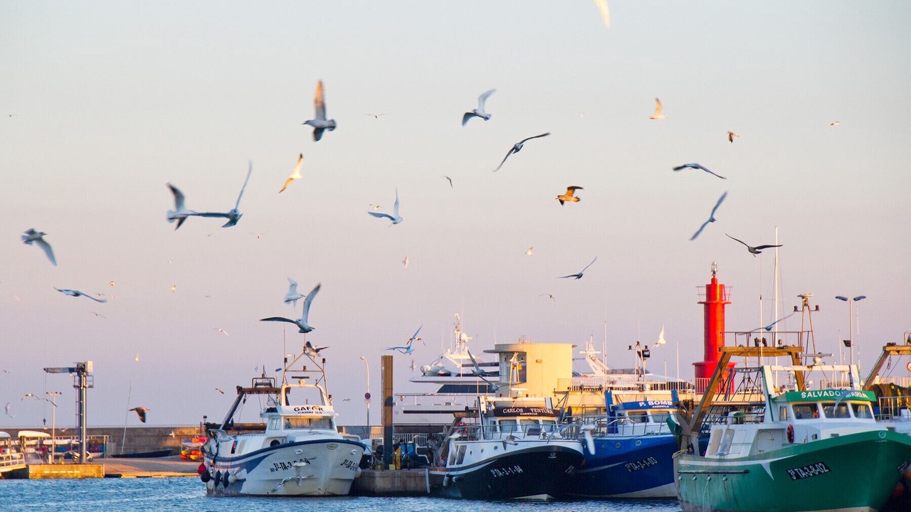 Photo of Others in Cambrils