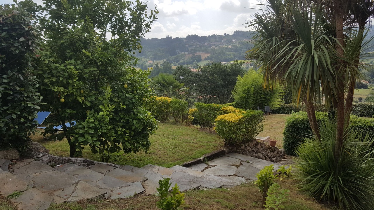 Photo of Outdoor in Culleredo