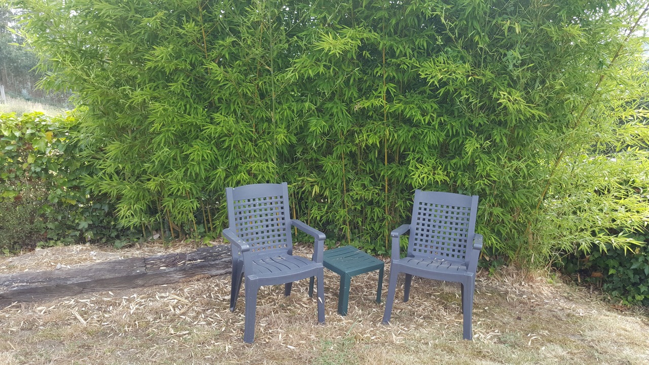 Photo of Outdoor in Culleredo