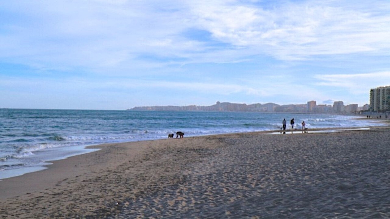 Photo of Others in La Capellania