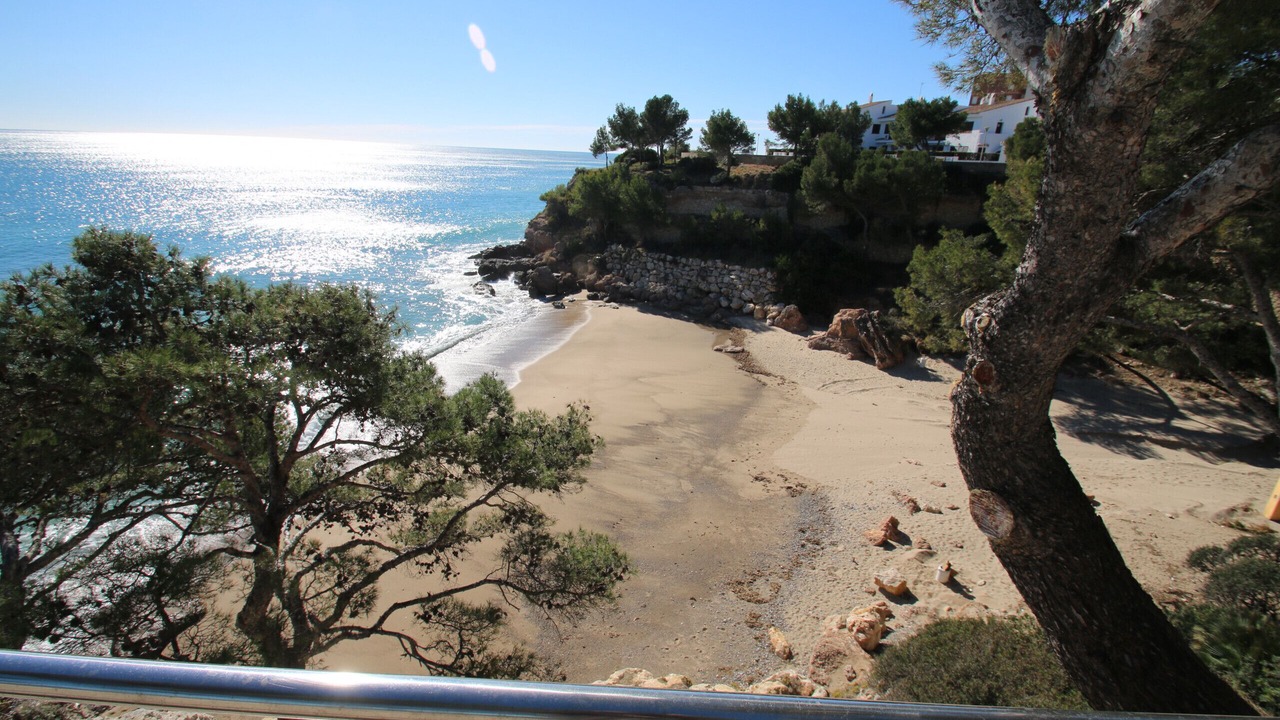 Photo of Others in Miami Platja