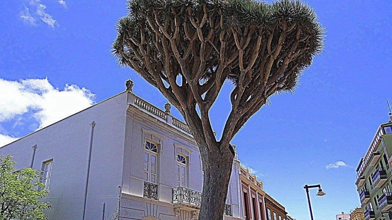 Photo of Outdoor in Historical Center