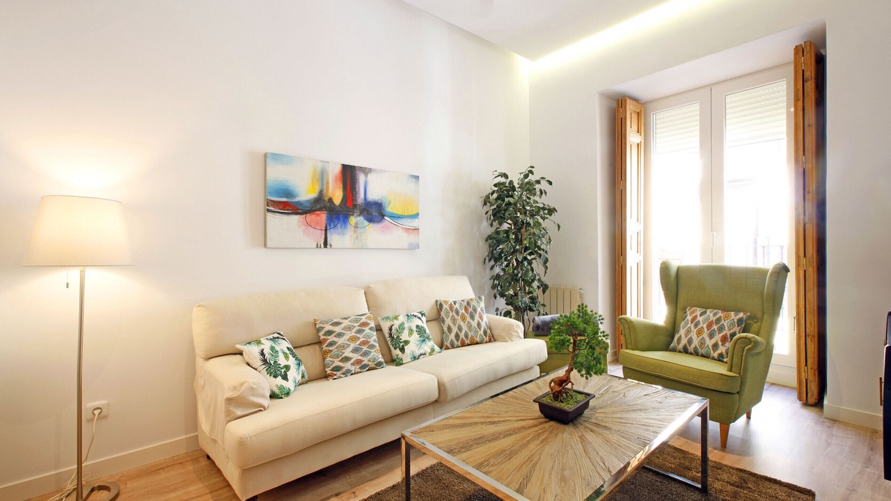 Photo of Livingroom in Embajadores