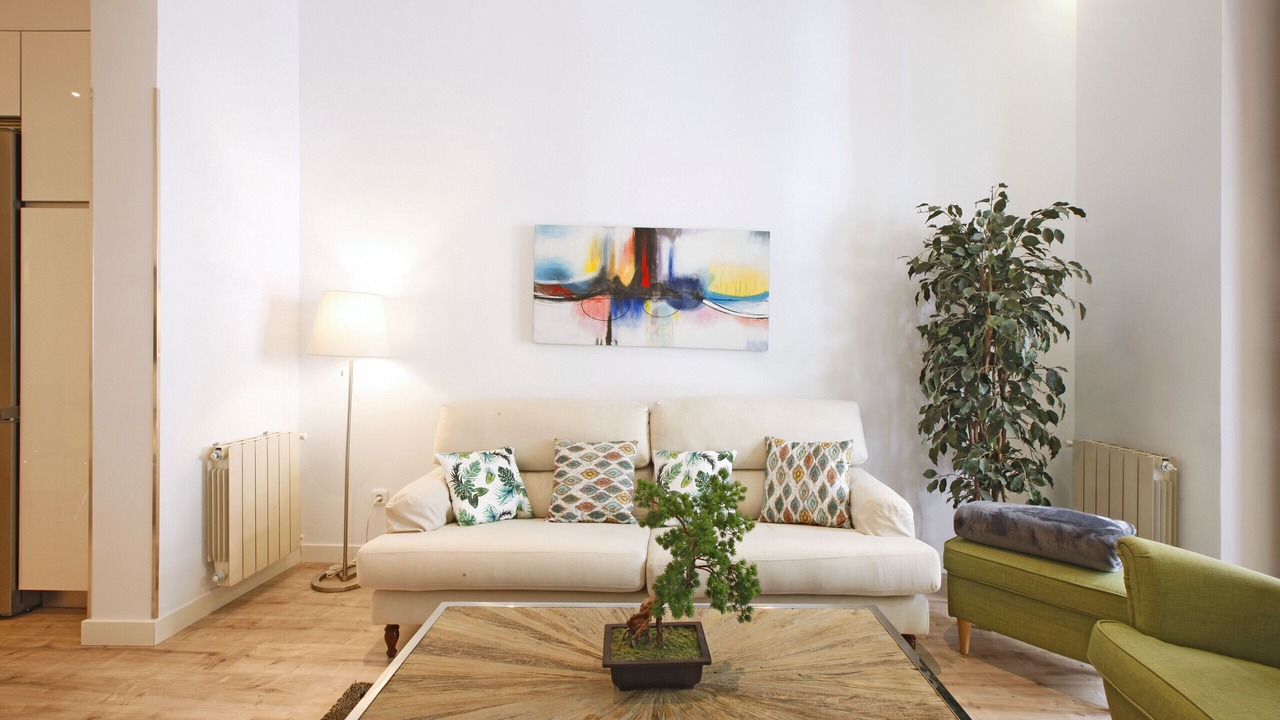 Photo of Livingroom in Embajadores