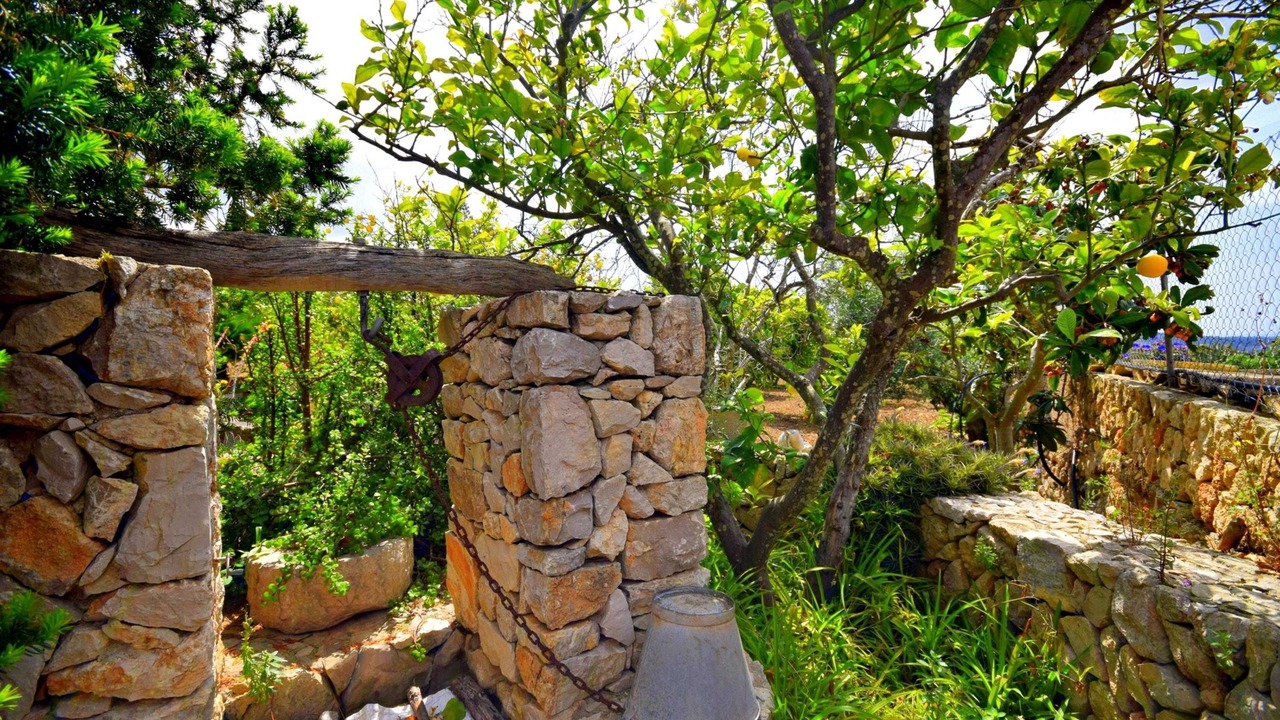 Photo of Outdoor in Sant Llorenc des Cardassar