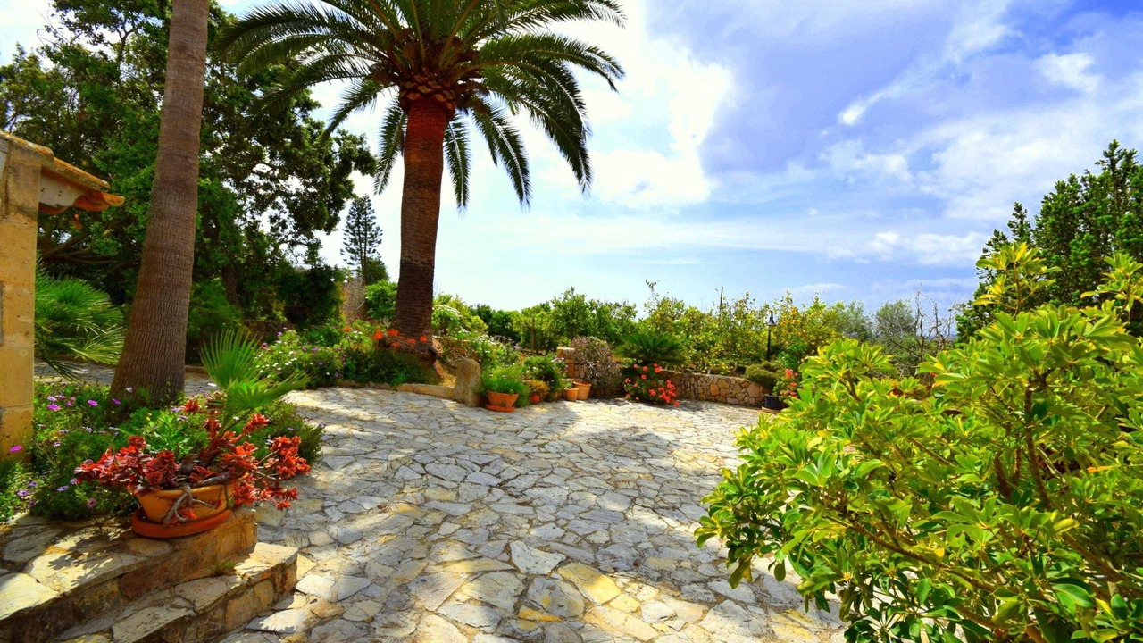 Photo of Outdoor in Sant Llorenc des Cardassar