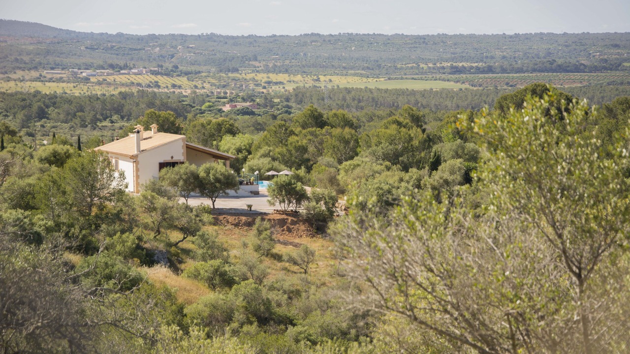 Photo of Outdoor in Puntiro