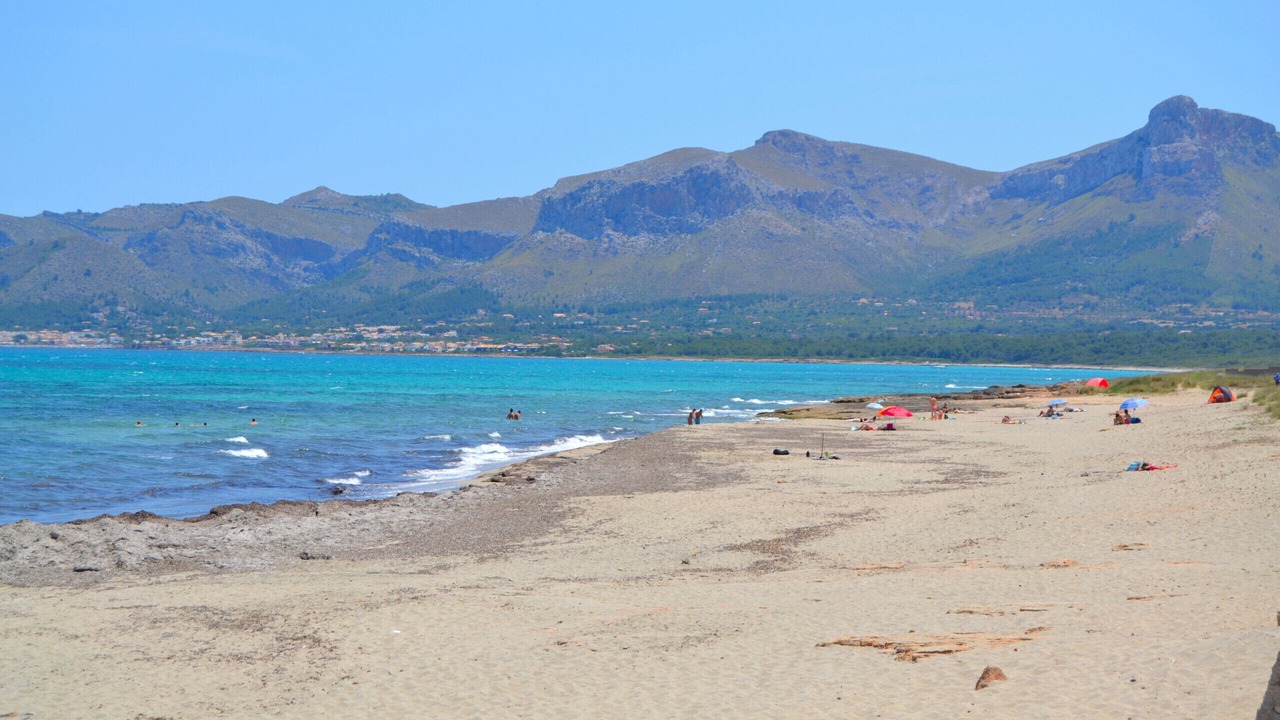 Photo of Others in Son Serra de Marina