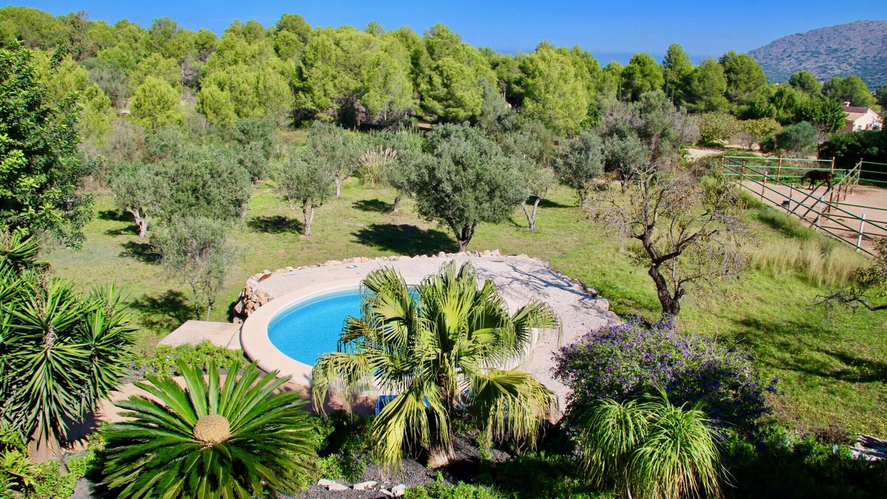 Photo of Outdoor in Pedreguer