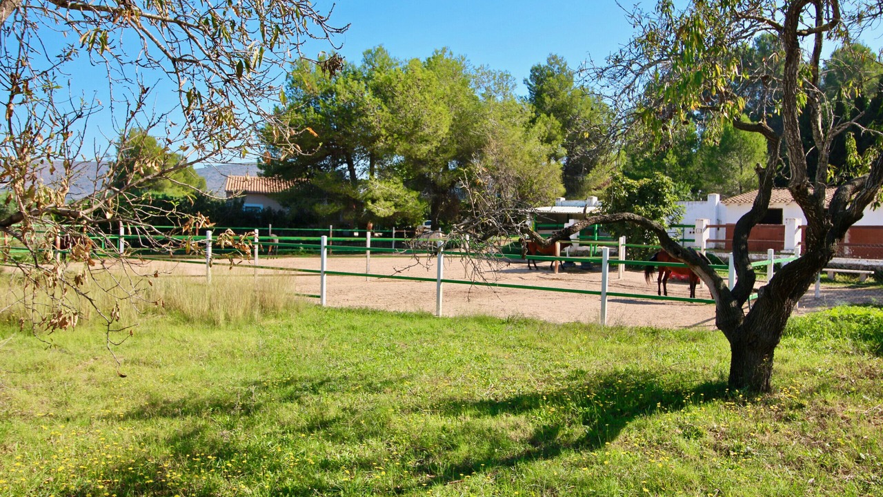 Photo of Others in Pedreguer