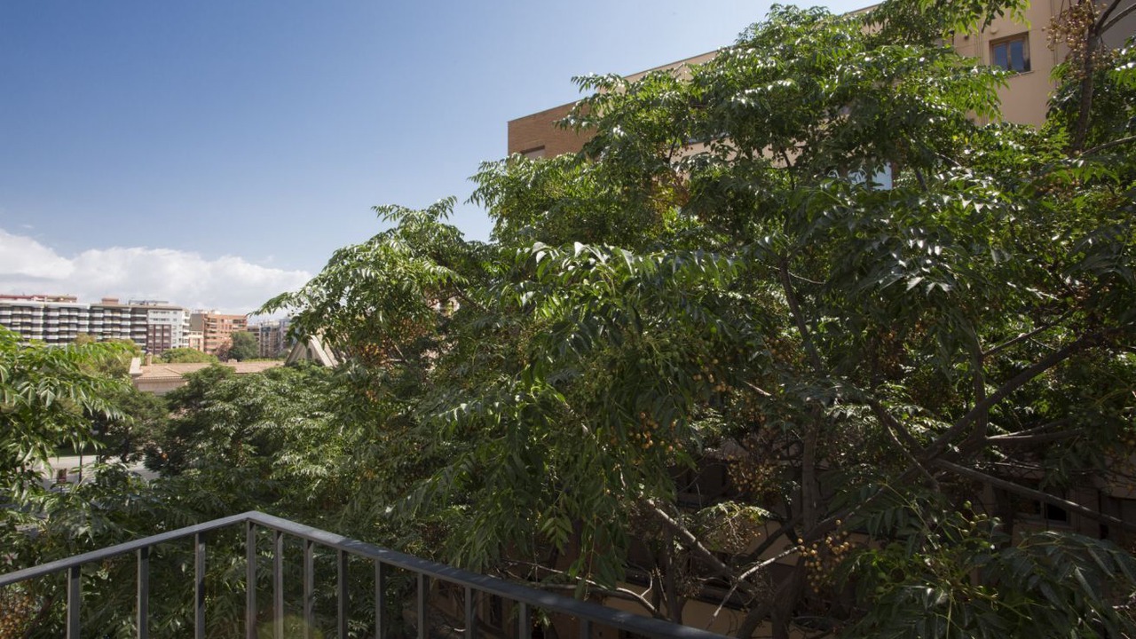 Photo of Outdoor in Barrio del Carmen