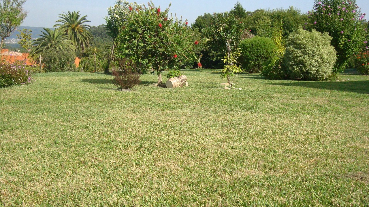 Photo of Outdoor in Villalonga