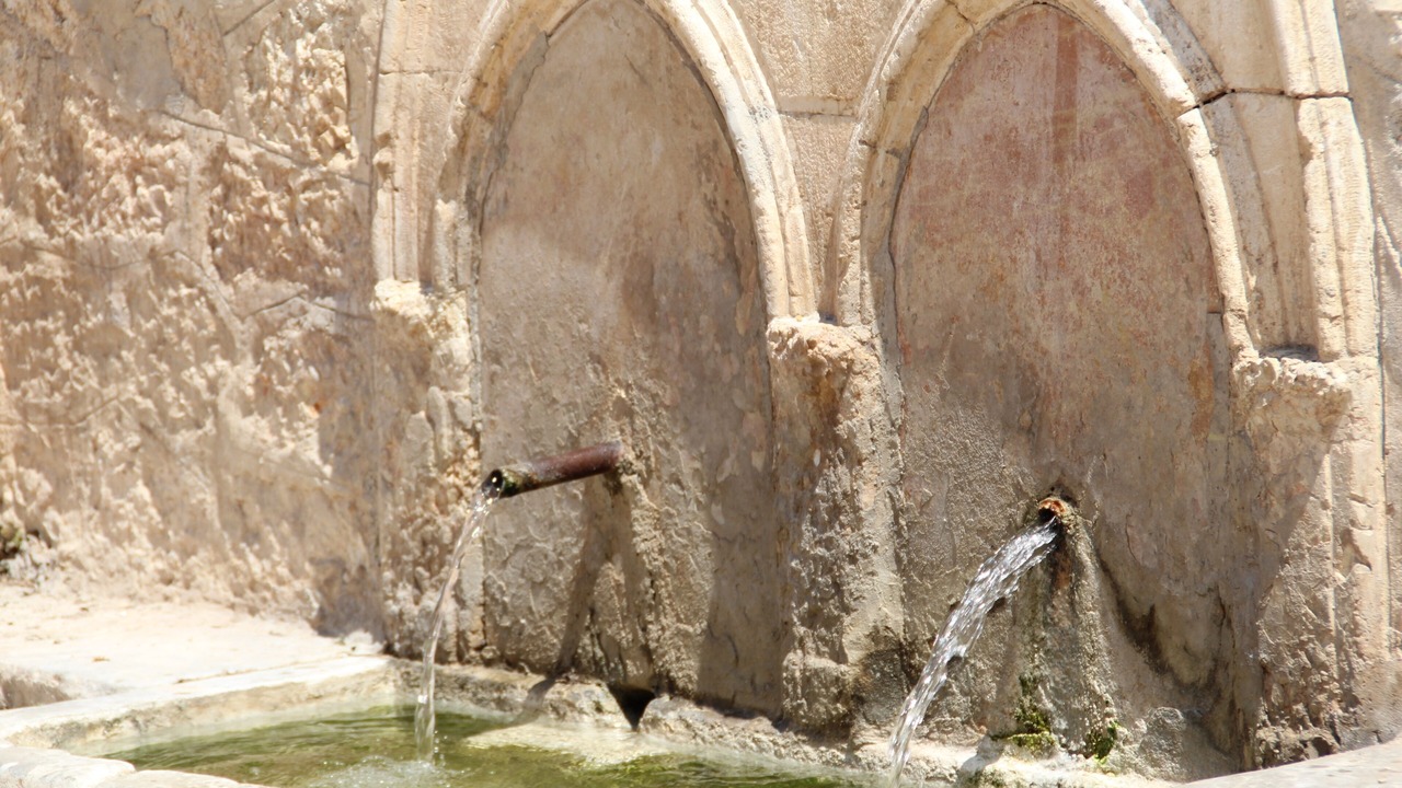 Photo of Others in Orba