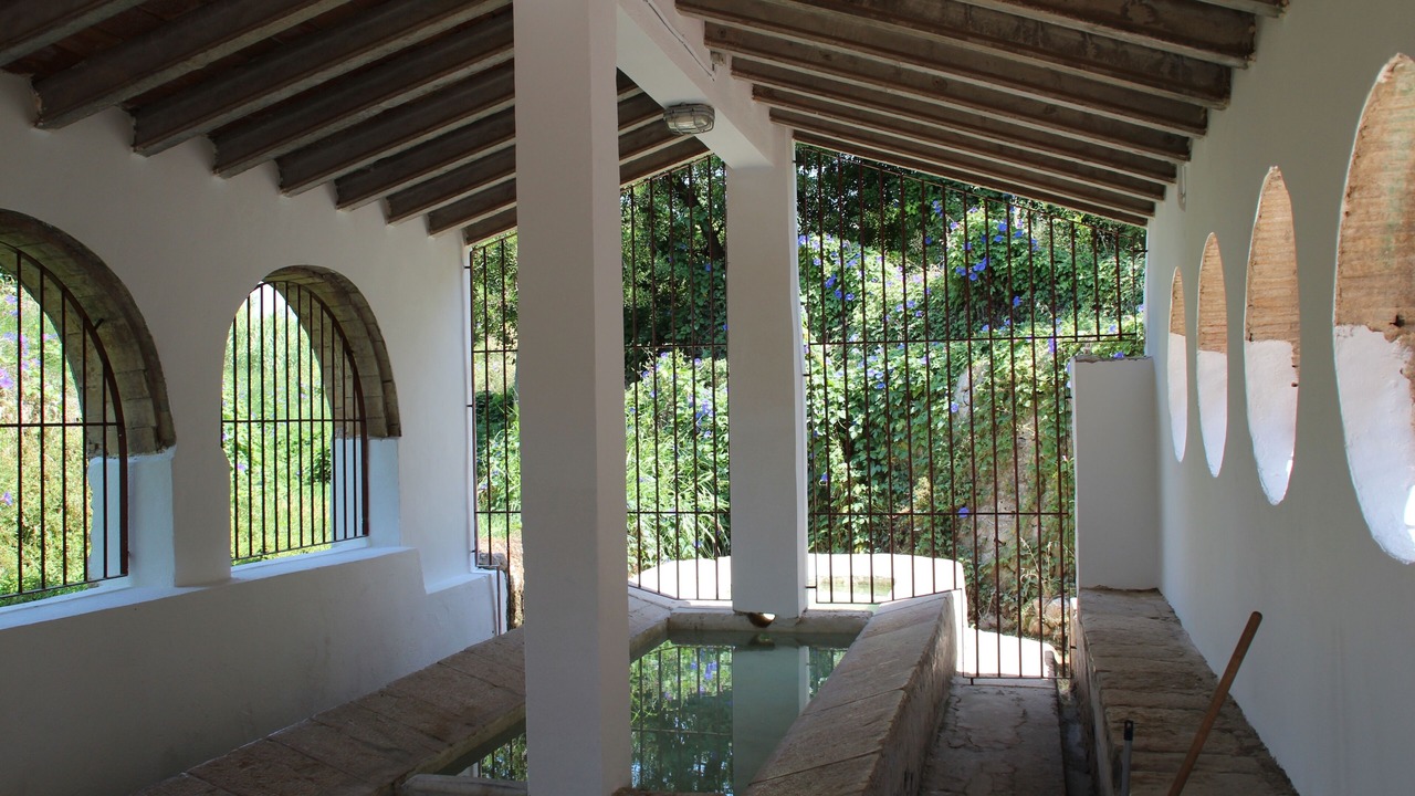 Photo of Others in Orba