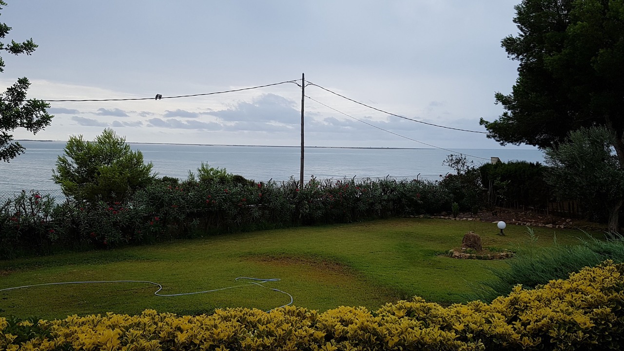 Photo of Others in Alcanar