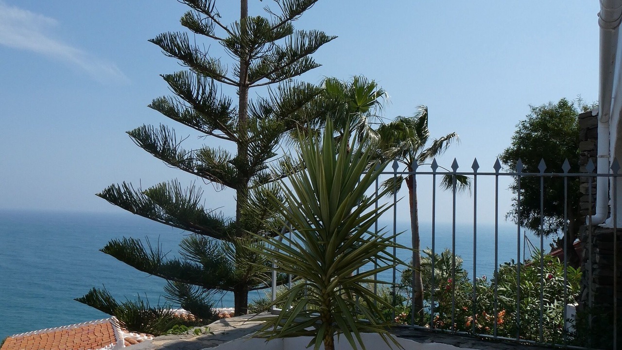 Photo of Outdoor in Nerja