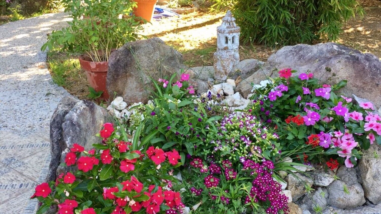 Photo of Outdoor in Salvaterra de Mino