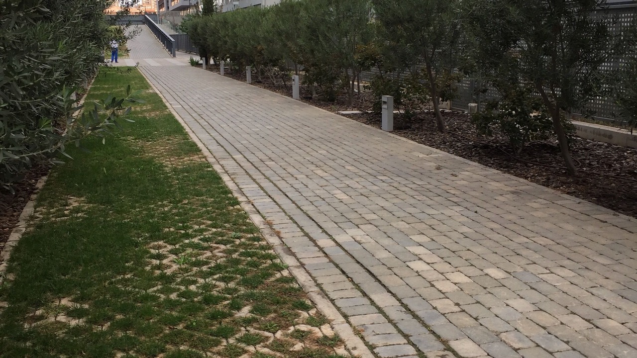 Photo of Outdoor in Patraix