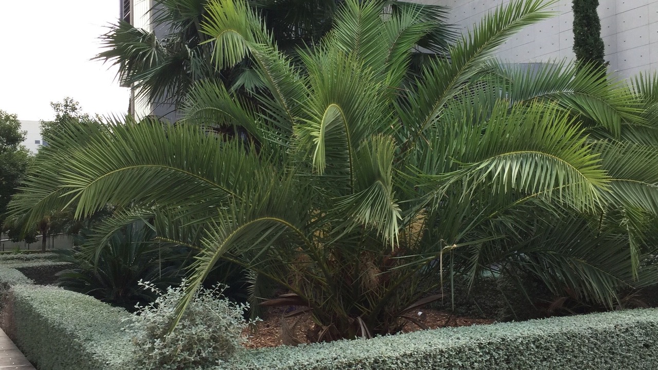 Photo of Outdoor in Patraix