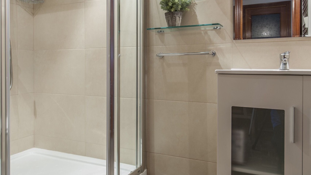 Photo of Bathroom in Guindalera