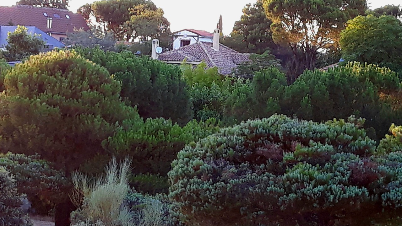 Photo of Outdoor in Majadahonda