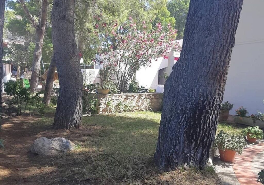 Photo of Outdoor in Calafat