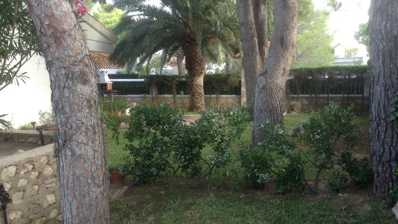 Photo of Outdoor in Calafat