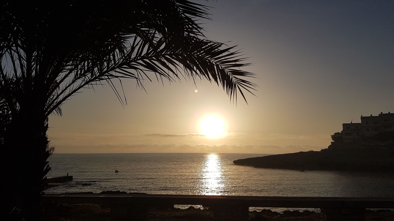 Photo of Others in Cala Murada