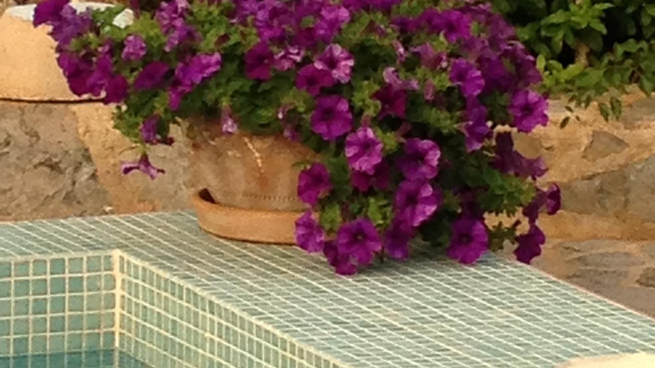 Photo of Outdoor in Cala Murada