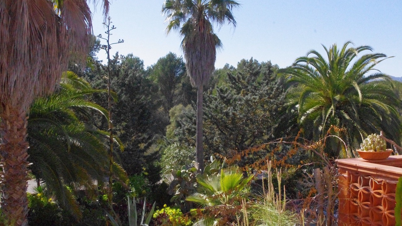 Photo of Outdoor in Cala Murada