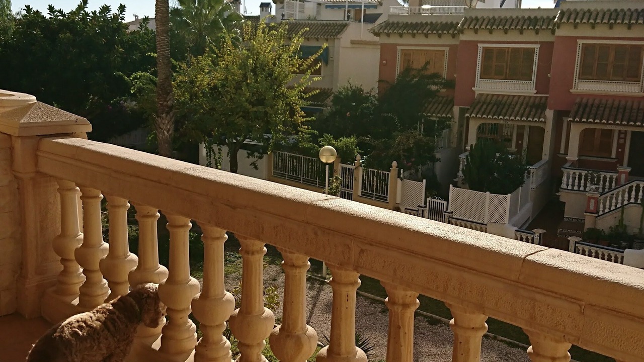 Photo of Outdoor in Guardamar del Segura
