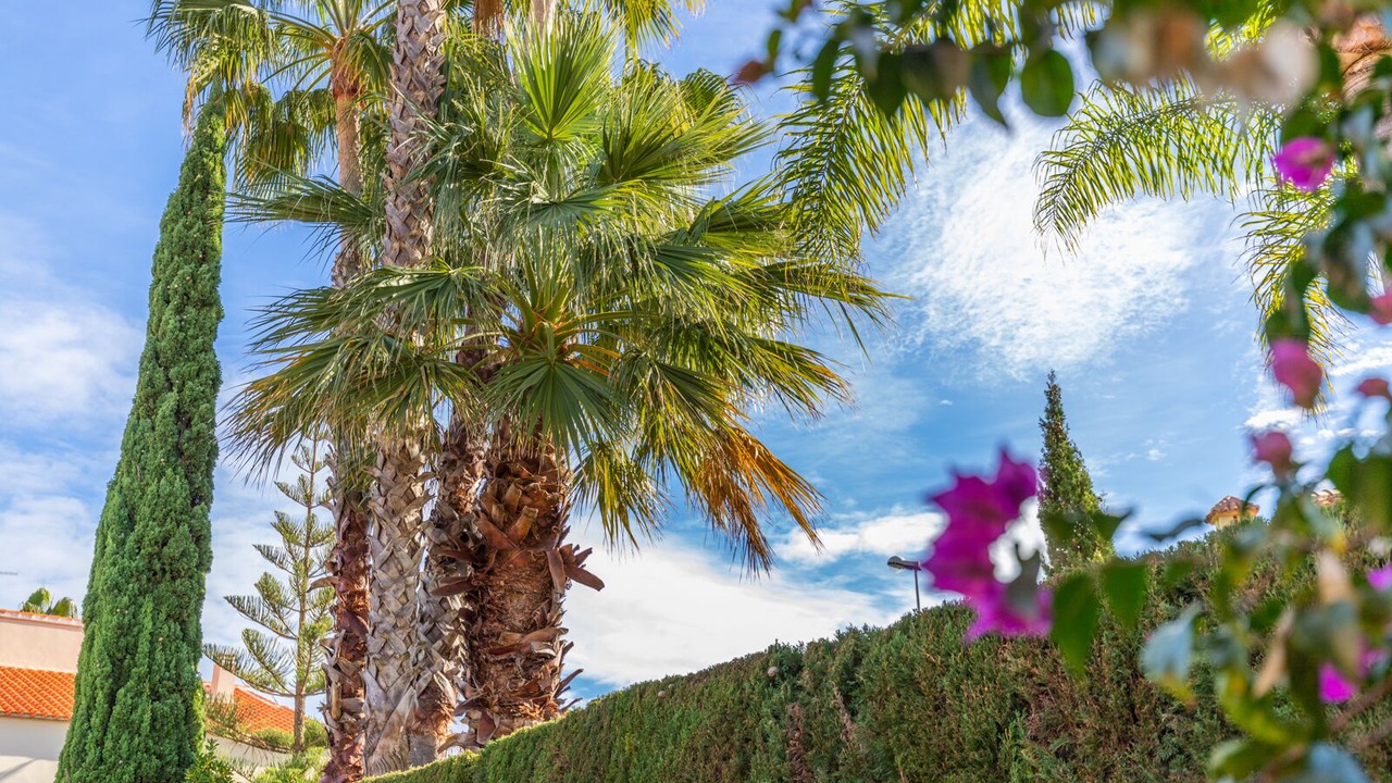 Photo of Outdoor in Molinell