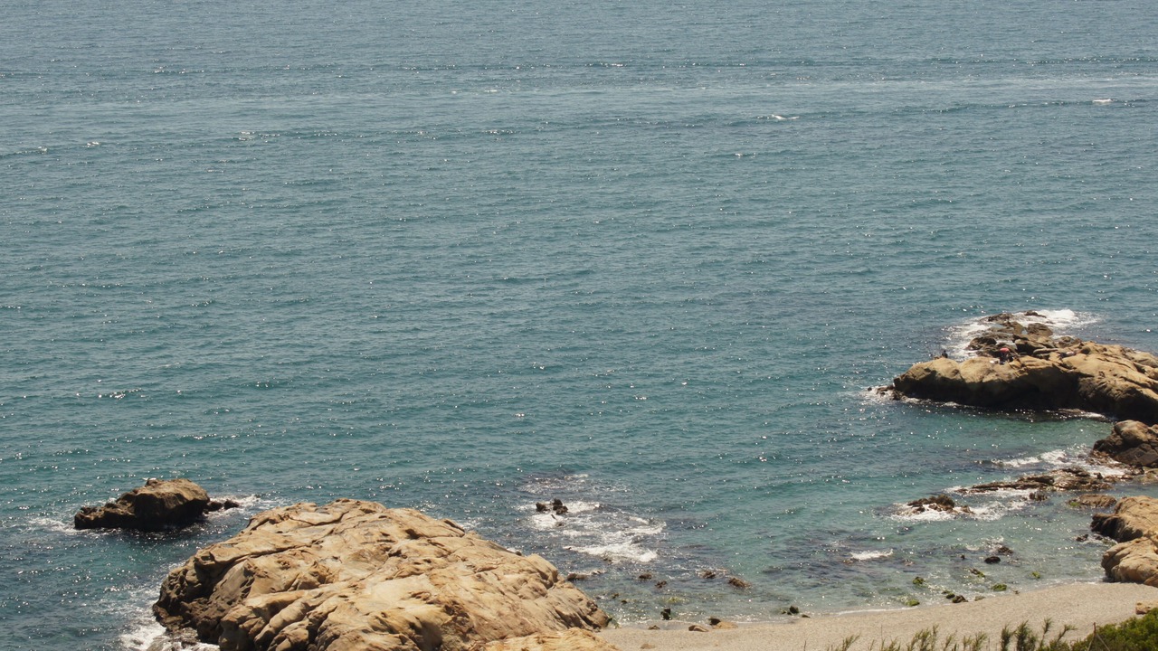 Photo of Others in Manilva