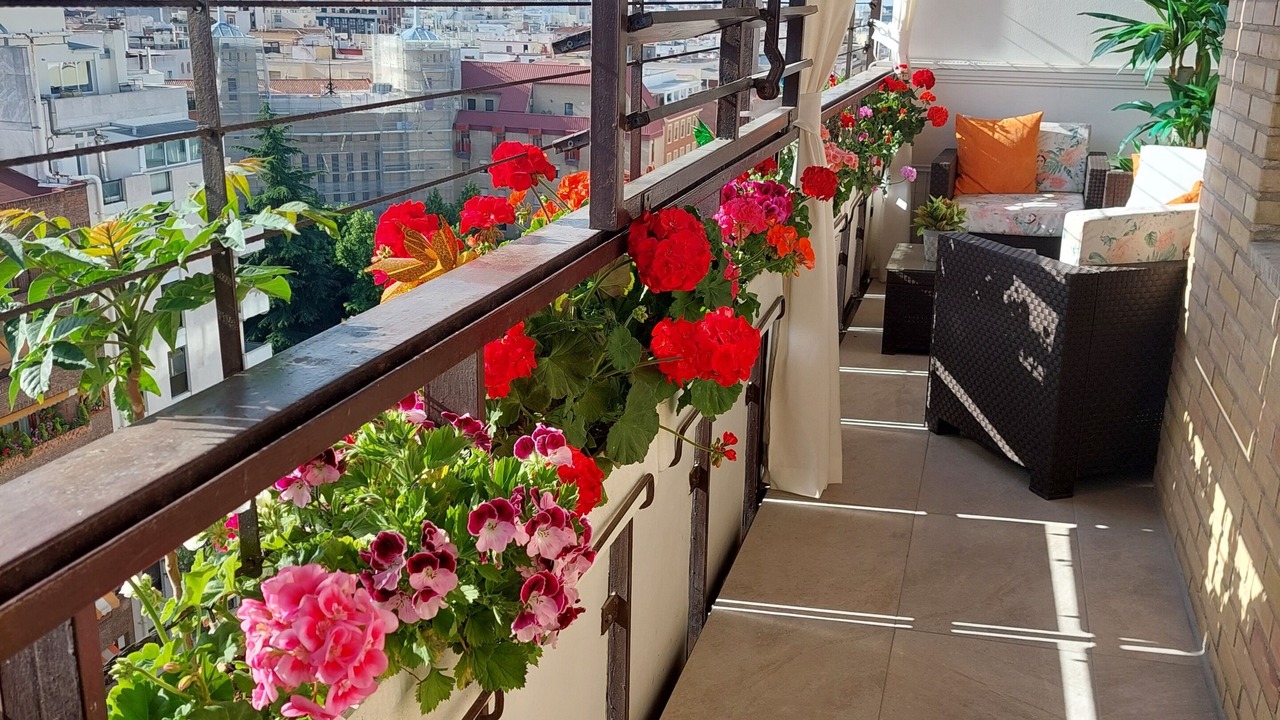 Photo of Outdoor in Lista