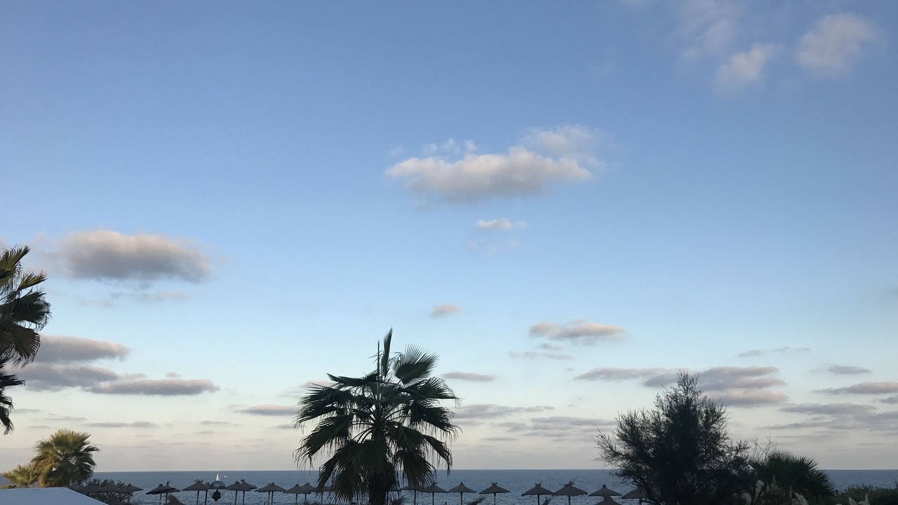 Photo of Others in Cala d'Or