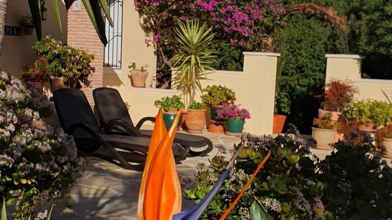 Photo of Patio Balcony in Denia