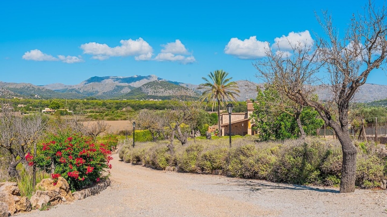 Photo of Outdoor in Alcudia