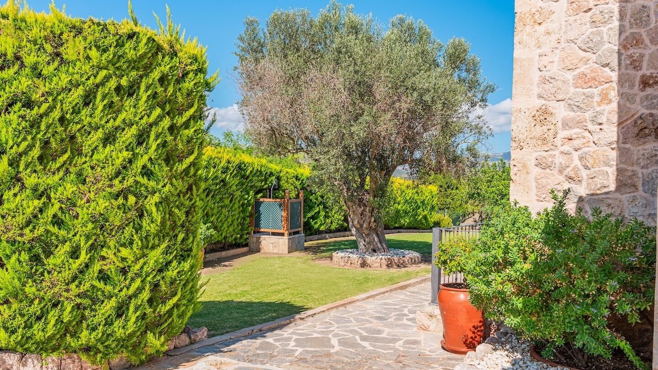 Photo of Outdoor in Alcudia