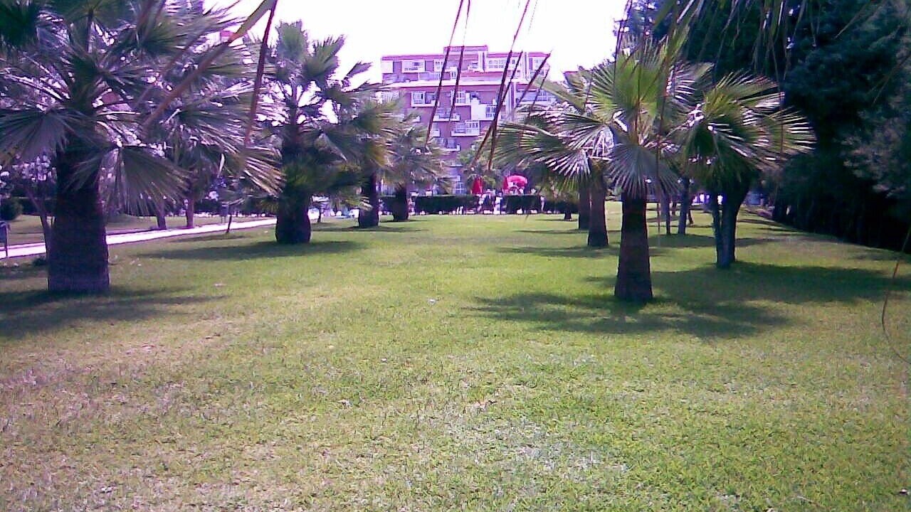 Photo of Outdoor in Benalmadena Costa