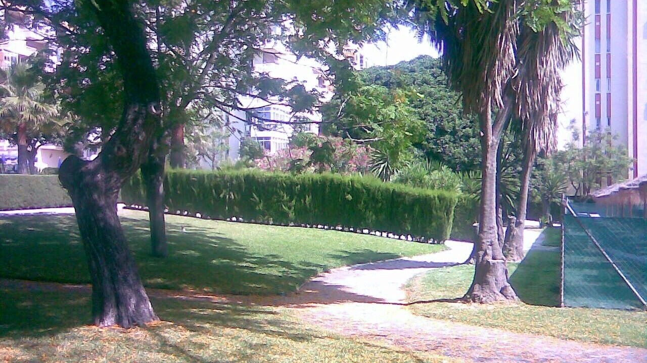 Photo of Outdoor in Benalmadena Costa