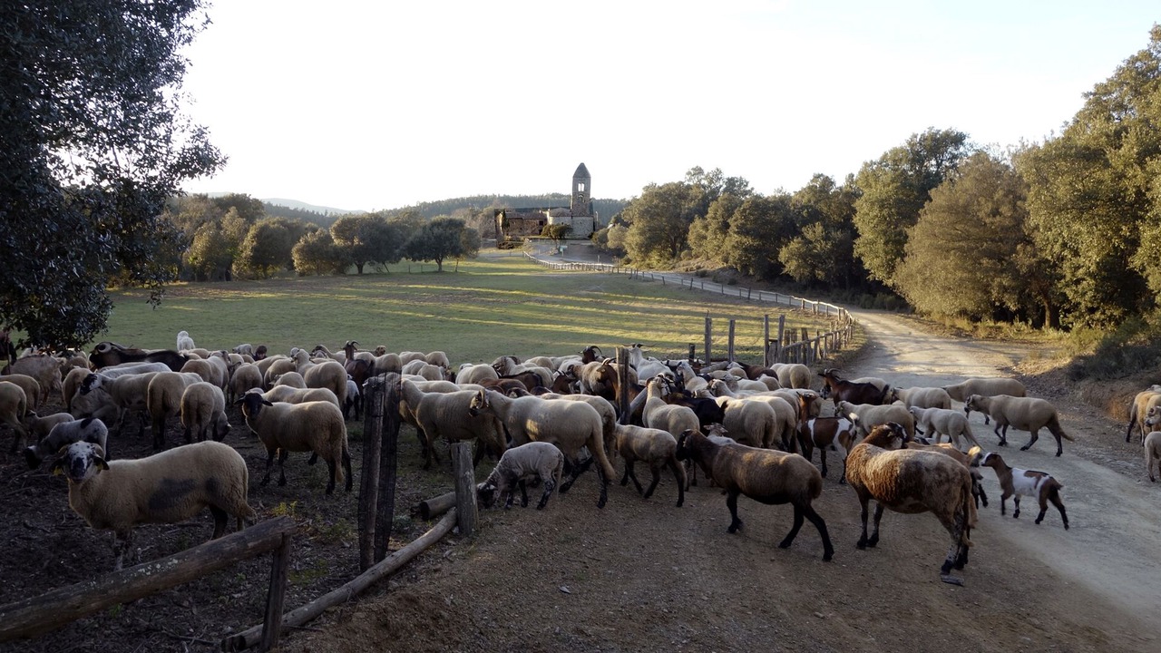 Photo of Others in Vall-Llobrega