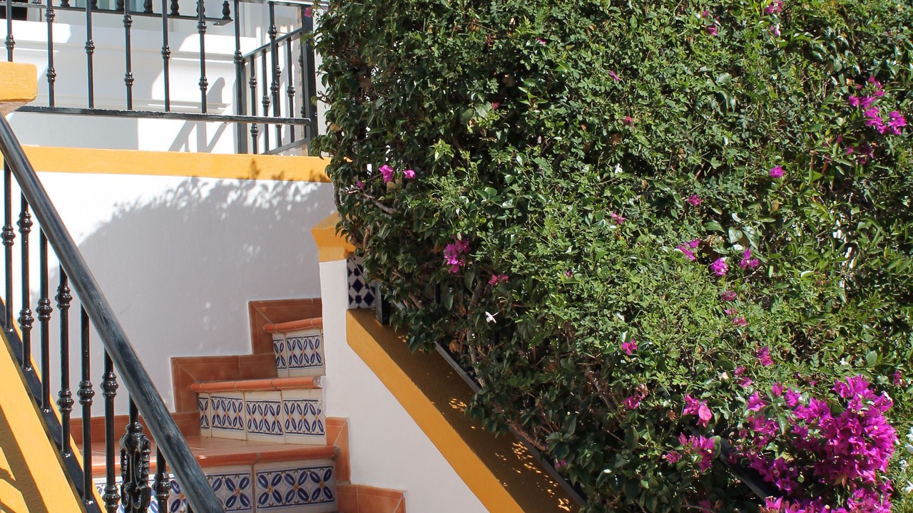 Photo of Others in Orihuela Costa