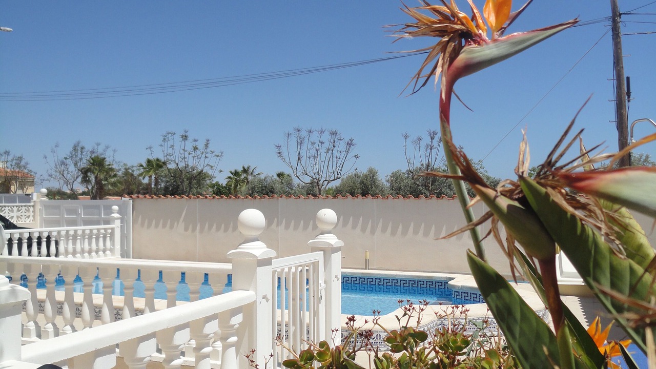 Photo of Outdoor in San Fulgencio