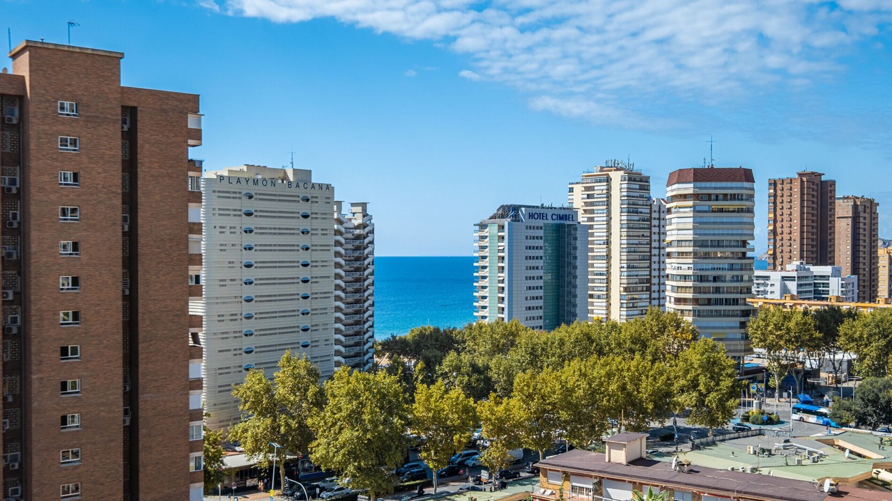 Photo of Others in Benidorm