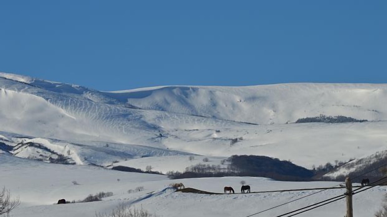 Photo of Others in Fontibre