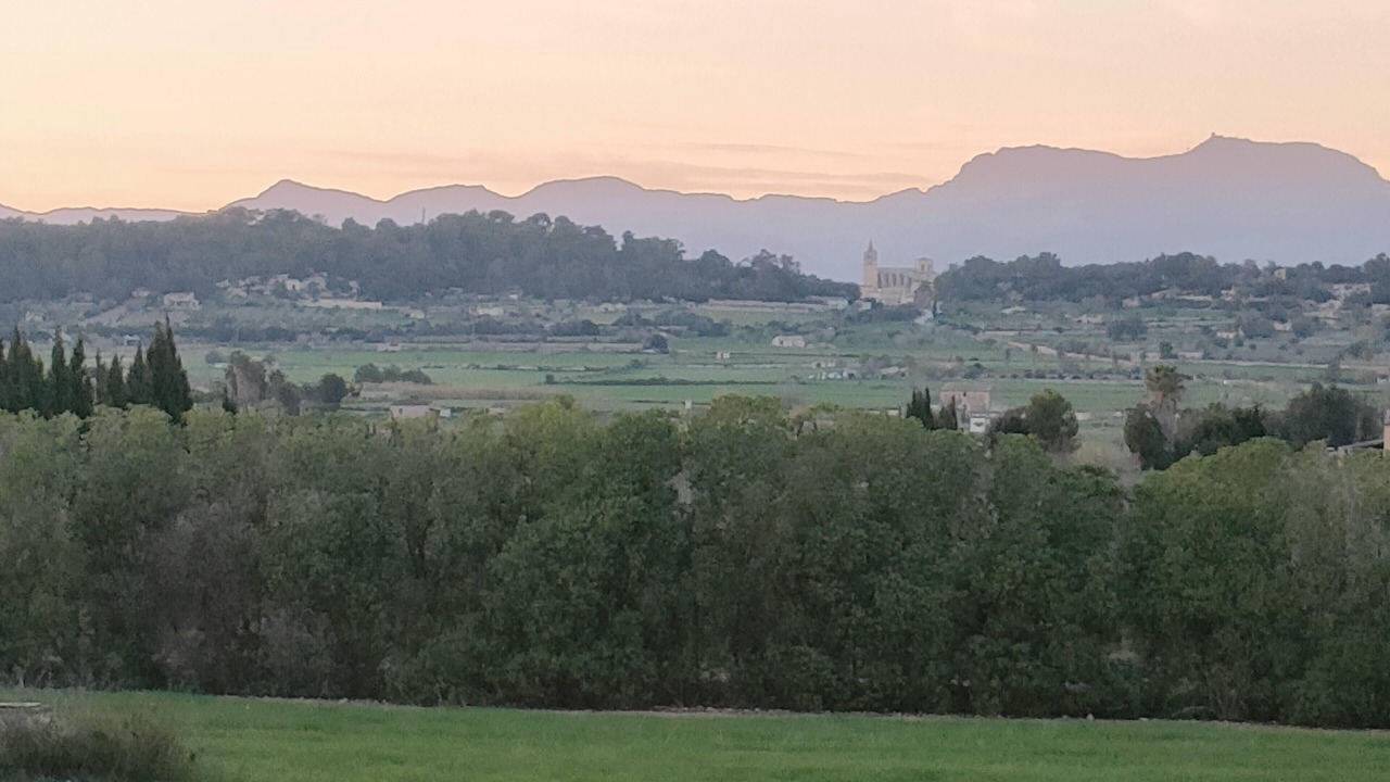 Photo of Others in Sant Joan